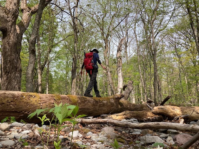 「山へ、子どもを巻き込む！」柳瀬 洋平 Yohei Yanase｜こちら、アナウンスルーム｜MMT ミヤギテレビ
