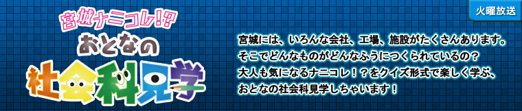 宮城のナニコレ！？　おとなの社会科見学