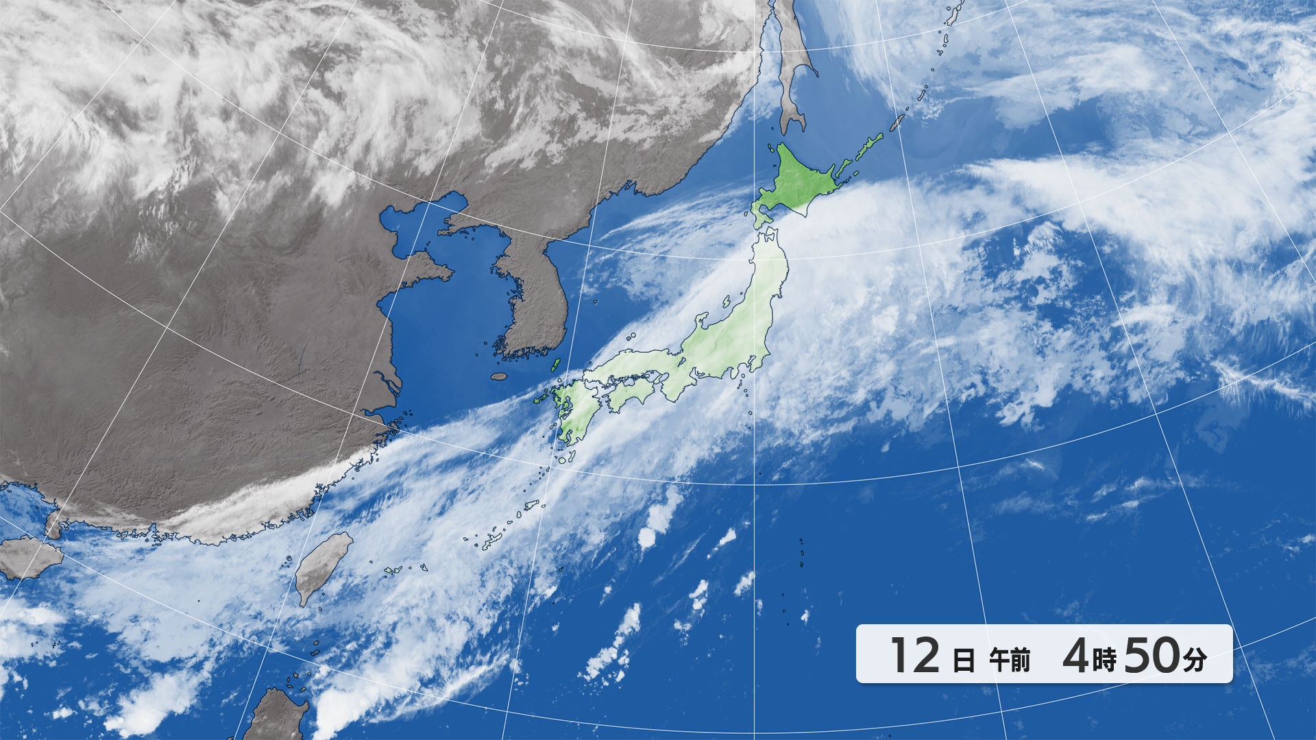 衛星画像