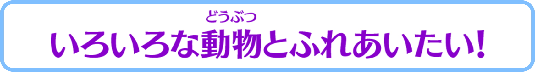 いろいろな動物とふれあいたい！