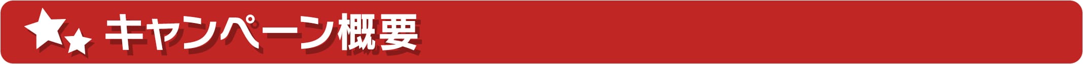 キャンペーン概要