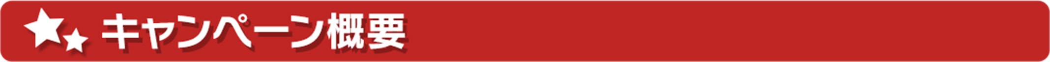 キャンペーン概要