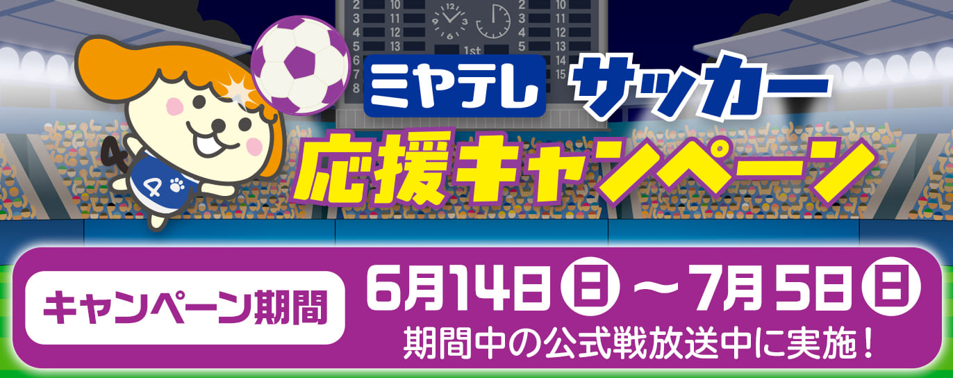 ●●●●プレゼントキャンペーン
