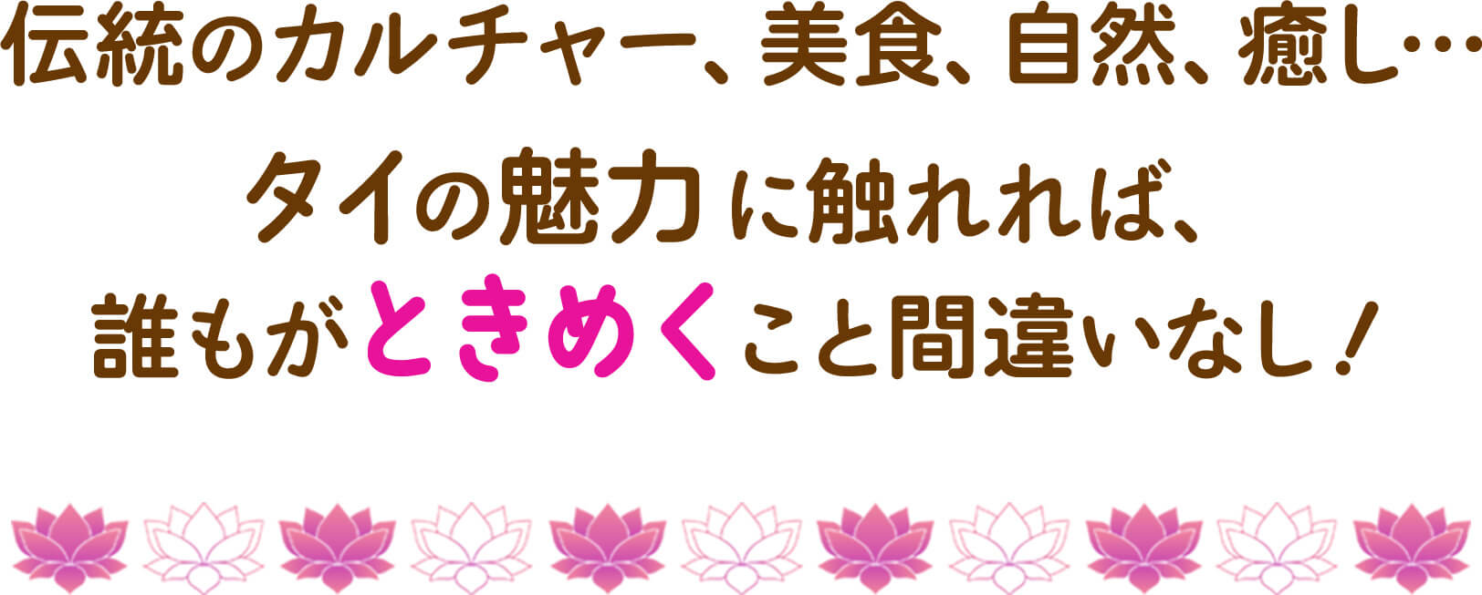 伝統のカルチャー、美食、自然、癒し… タイの魅力に触れれば、誰もがときめくこと間違いなし！