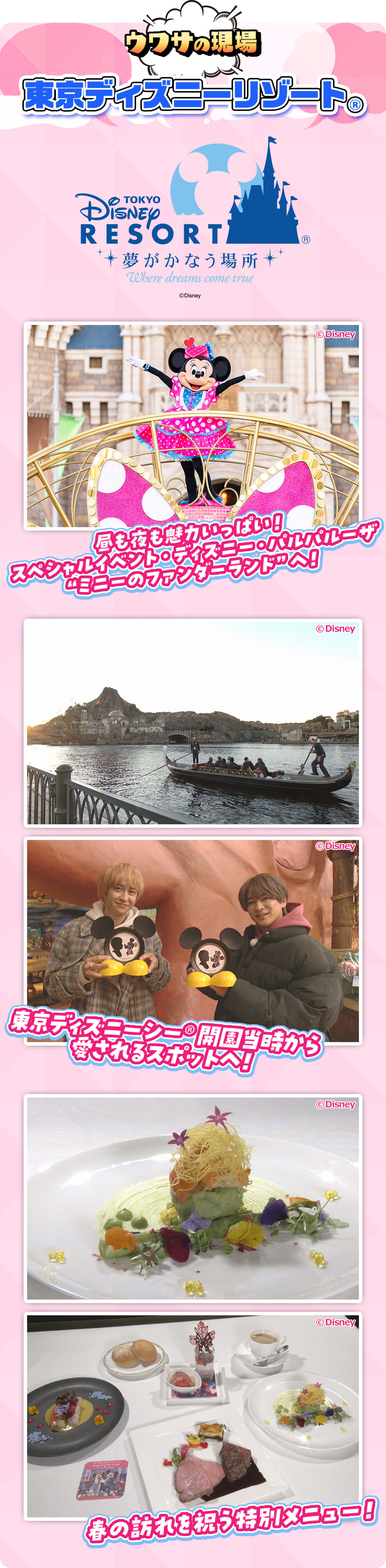 ウワサの現場 東京ディズニーリゾート