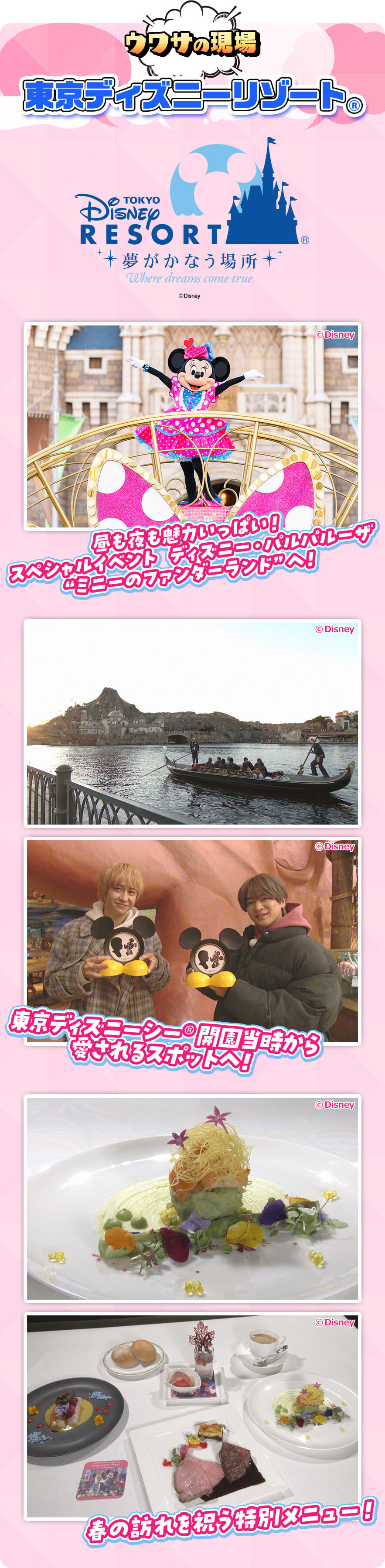 ウワサの現場 東京ディズニーリゾート